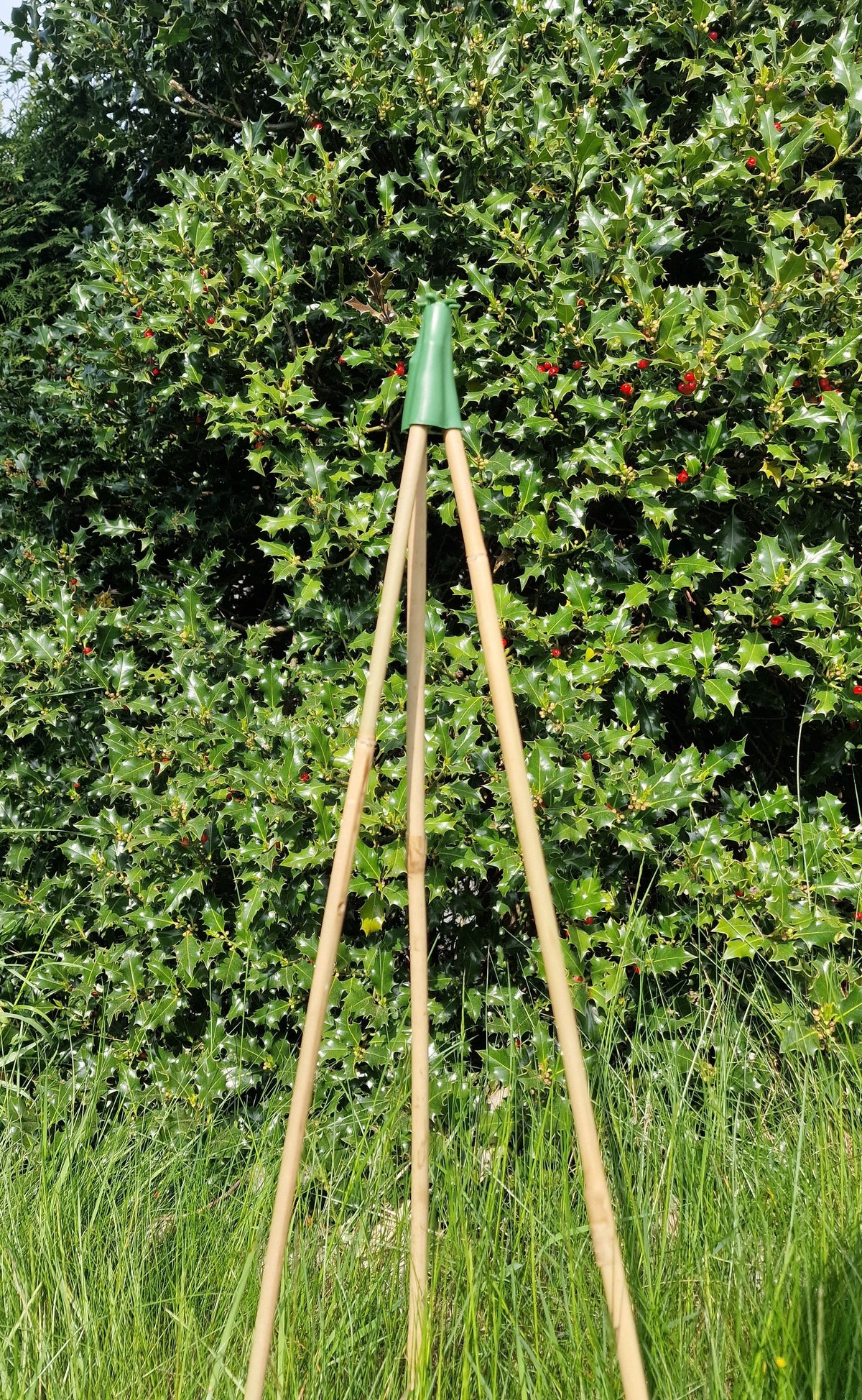 Pyramid tips for bamboo canes as climbing aids, trellises, climbing supports, green, 3 pieces
