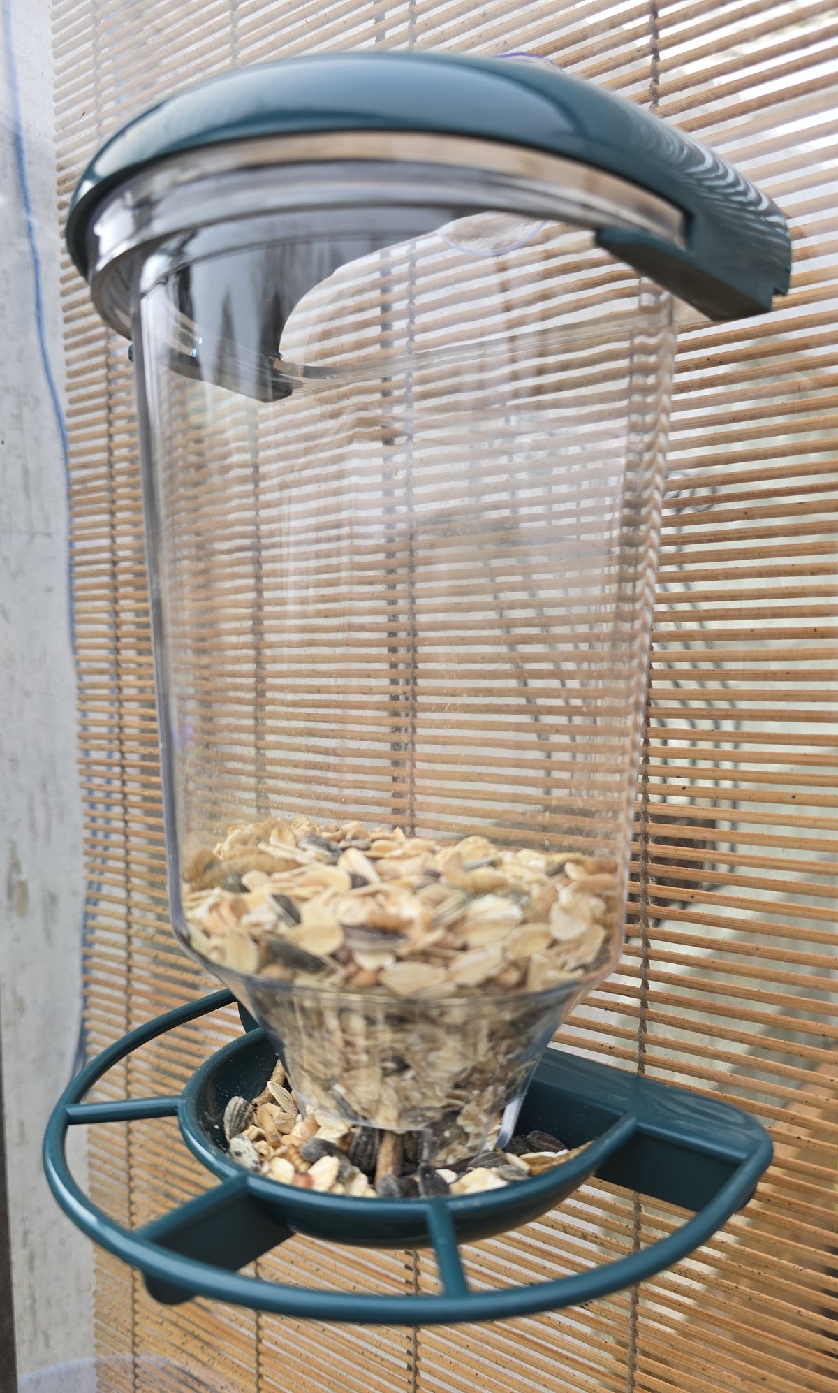 Vogelfutterstation mit Saugnapf für Fenster Dunkelgrün 14x10,5x22,5 cm Futterspender