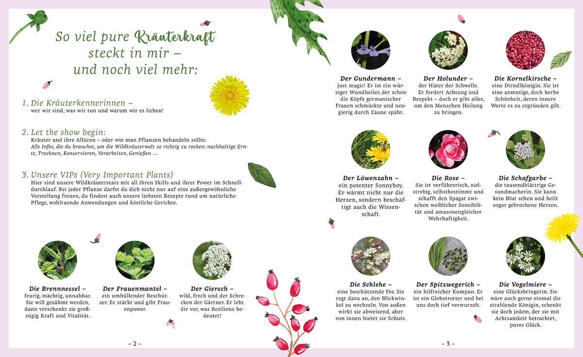 Zwölf ungezähmte Pflanzen fürs Leben - Sachbuch - 8 Autoren
