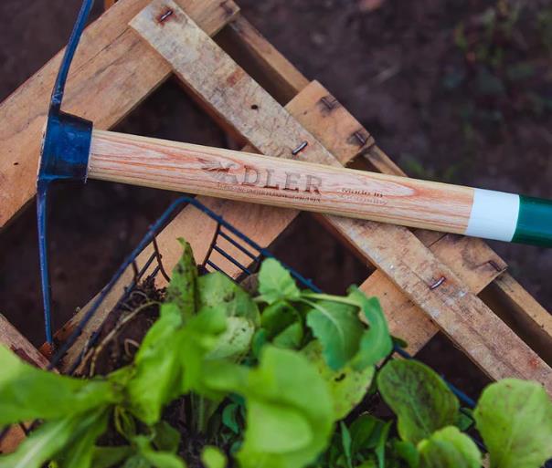 Garden hoe 450 mm "Rosie S" double hoe, single tine, forged, sturdy, high quality
