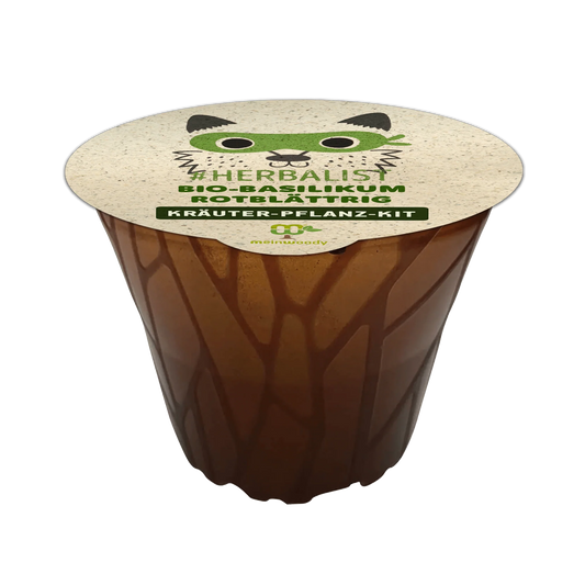 Tree planting kit "Woodruff" (1 each of larch, arborvitae, and sea buckthorn) - plastic-free