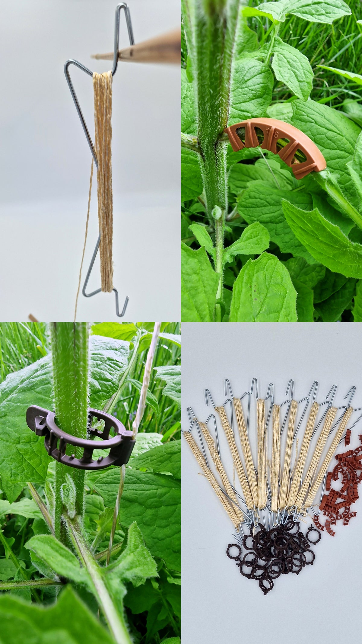 Professional tomato hooks, 10 pieces, climbing aid, each with 5 m of compostable twine + accessories