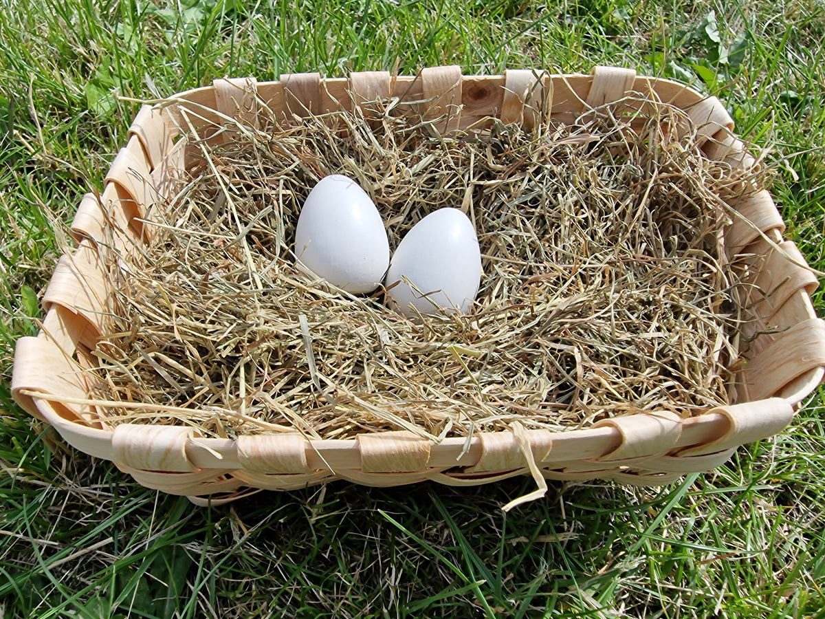 2 plaster eggs for laying nests, imitation chicken eggs, nest eggs, chicken poultry, handmade, 2 pieces