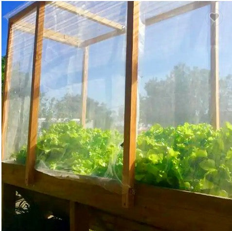 Insect protection net 1.8 x 10 m White fine mesh 1x1 mm Vegetable protection net Garden Garden net Plants Leaf net