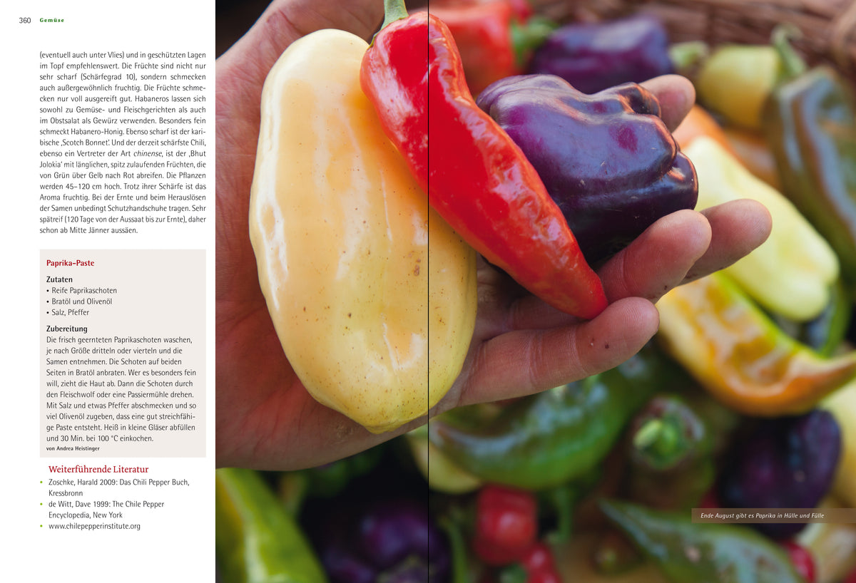 The Big Organic Gardening Book - Andrea Heistinger - Non-fiction