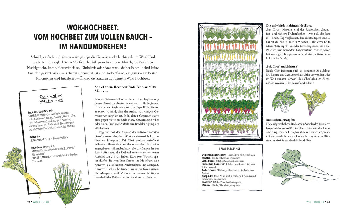 The Incredible Raised Bed - Doris Kampas - Non-fiction