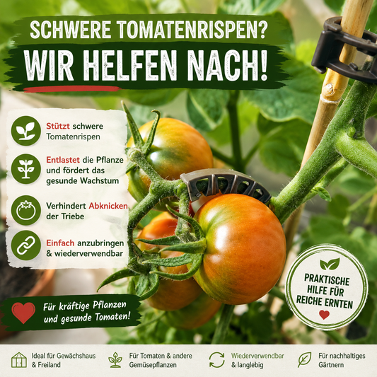 Rispenhalter für Tomaten – Schwere Tomatenrispen richtig stützen