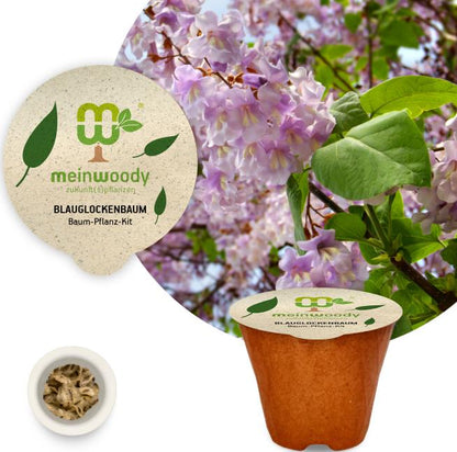 Bluebell tree planting kit with planting instructions and plastic-free planting pot
