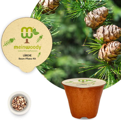 Lärche Baum-Pflanz-Kit Pflanzkit mit Pflanzanleitung plastikfreier Pflanztopf