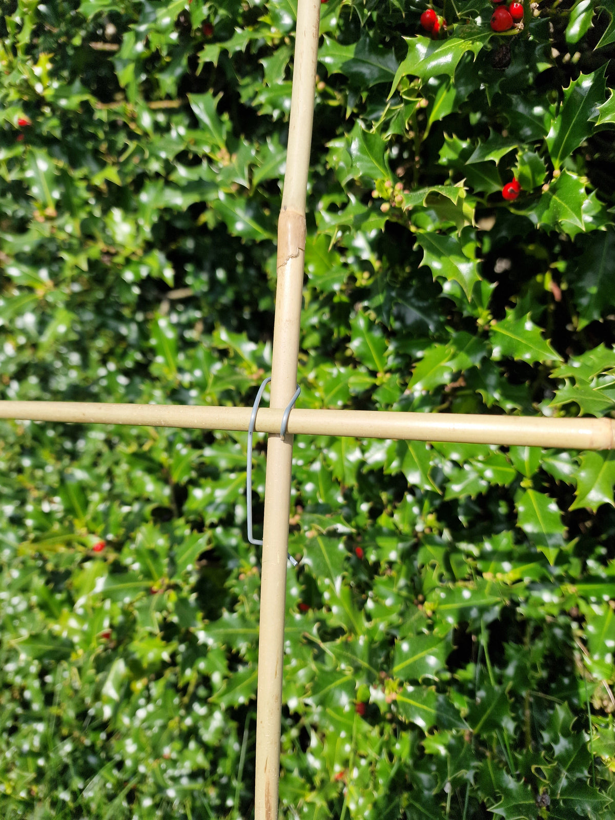 Tonkin cane trellis set: 12 canes and 36 Tonkin clips, plant support kit, 120 cm