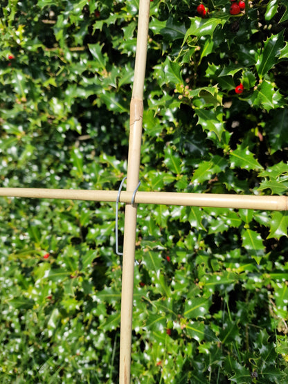 Tonkin cane trellis set: 12 canes and 36 Tonkin clips, plant support kit, 120 cm