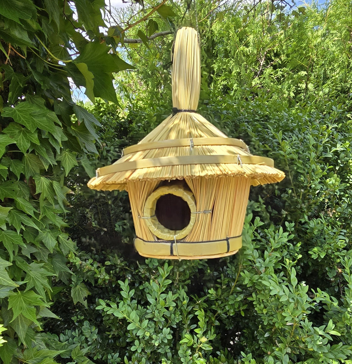 Vogelbox Seegras und Bambus hängend Futterhaus 17x17 cm Unterschlupf Vogelhaus