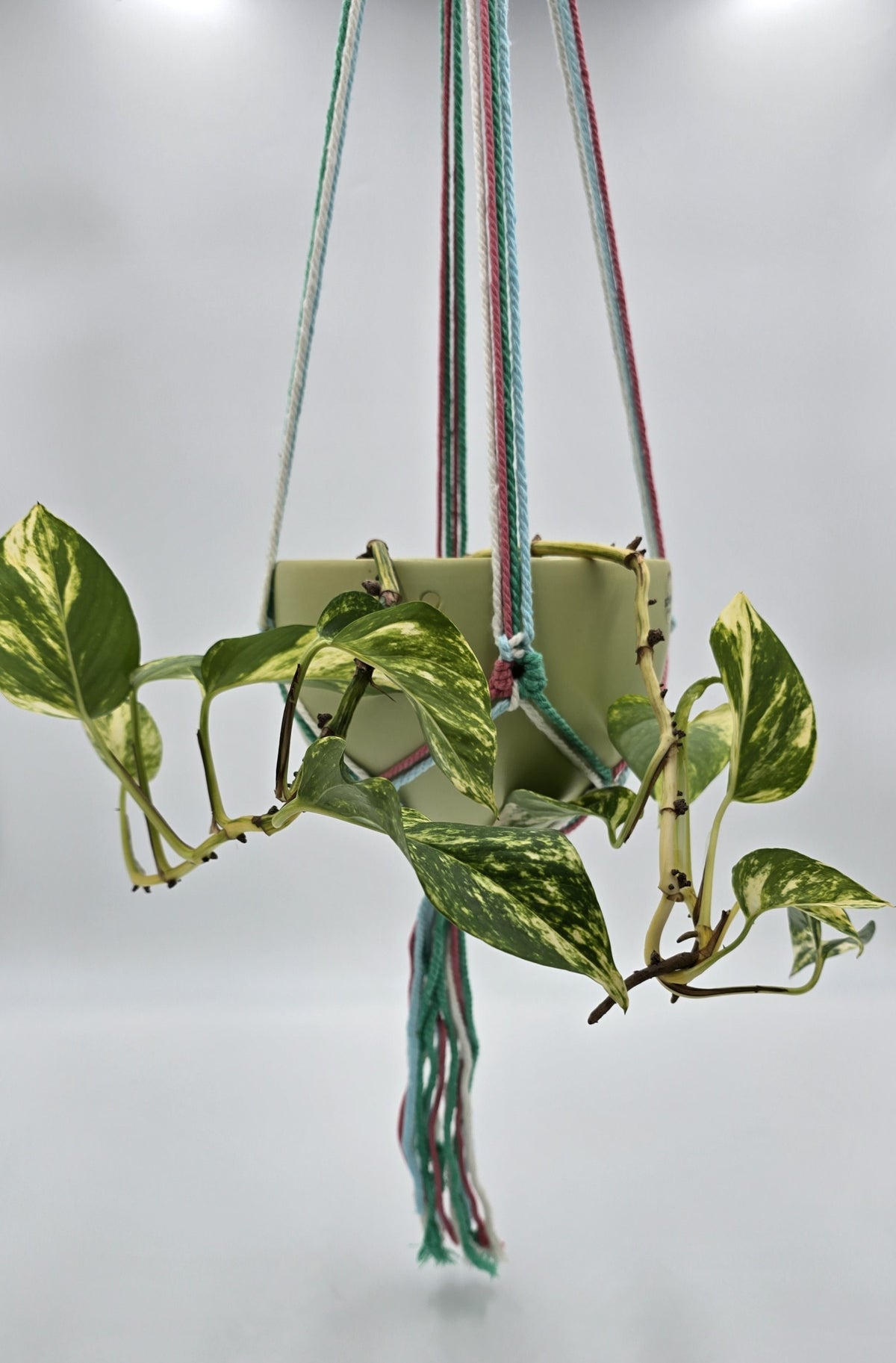 Hanging macrame flower pot holder, colorful pastel shades, pot holder, hanging planter
