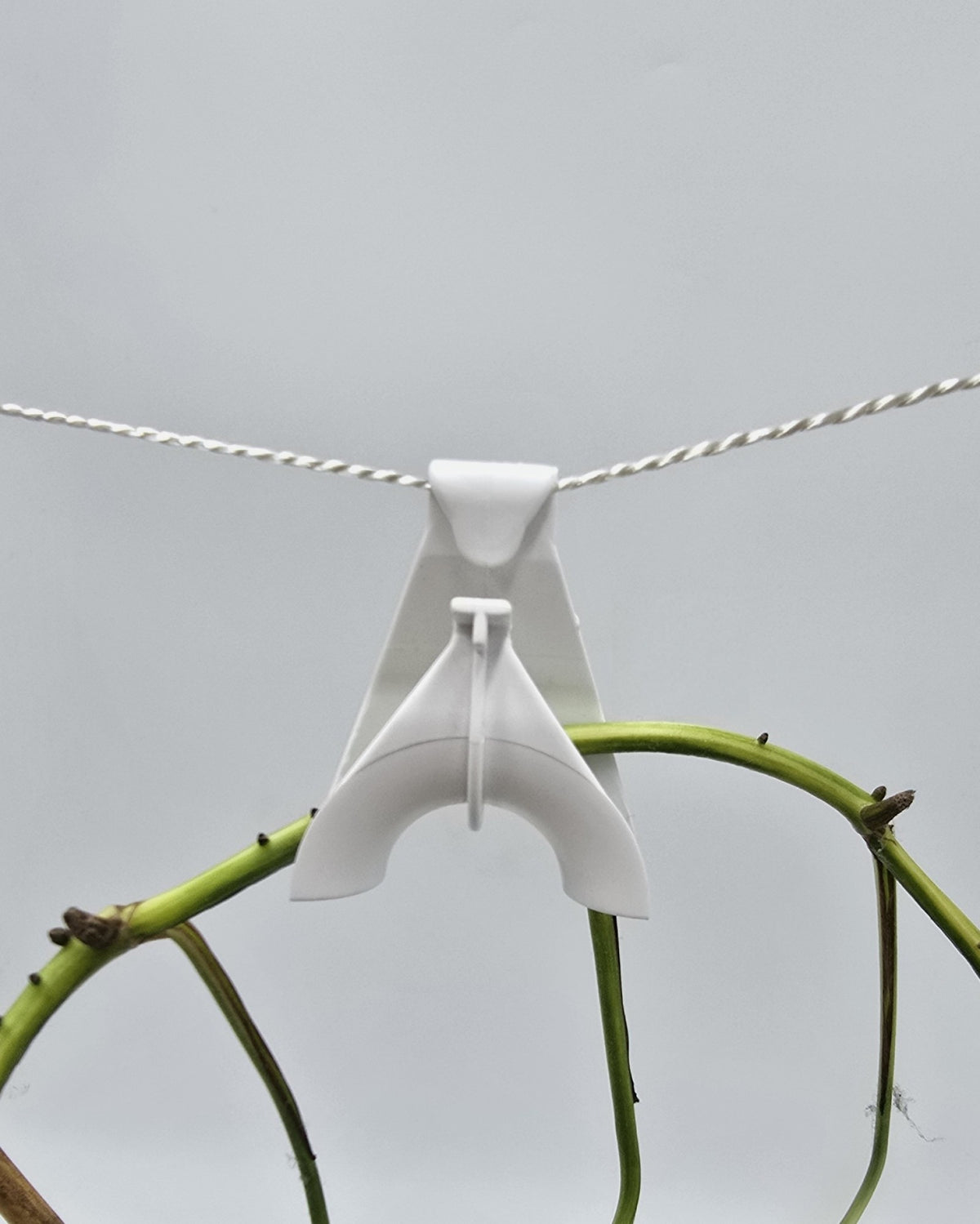 Top hooks, climbing hooks for climbing plants, 100 pieces. Tomato top hooks, cucumber top hooks 