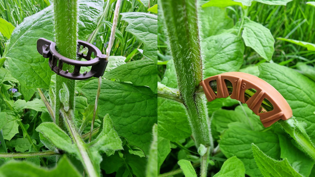 Set of 50 plant clips + 100 vine supports for tomatoes, peppers, cucumbers, climbing aid
