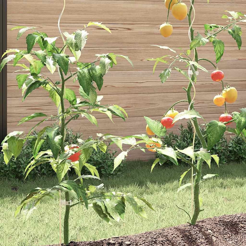 Tomaten Spiralstäbe 20 Stk. 170 cm Verzinkter Stahl Rankhilfe