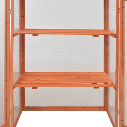Anzuchtgewächshaus Holz 75x47x109 cm Braun Kräuter-Gewächshaus Minigewächshaus