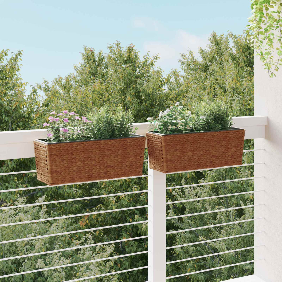 Balkon-Blumenkasten Pflanzkübel 2 Stk. Wasserhyazinthe Braun 60 cm