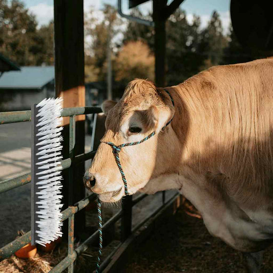 vidaXL Cattle Brushes Black and White 50 x 10 x 6.5 cm