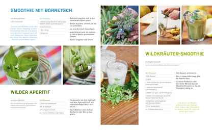 Harnessing the Power of Herbs - Non-fiction Book - 350 Recipes and Tips
