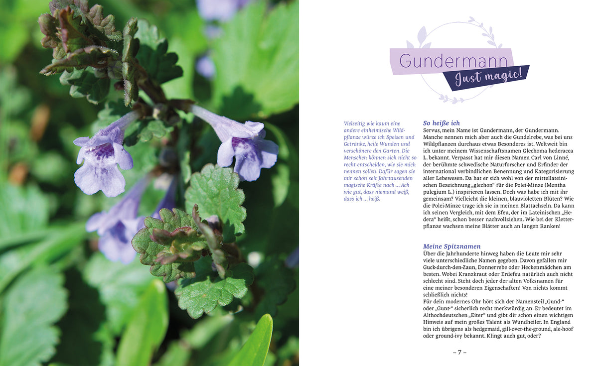 Twelve Untamed Plants for Life - Non-fiction - 8 authors