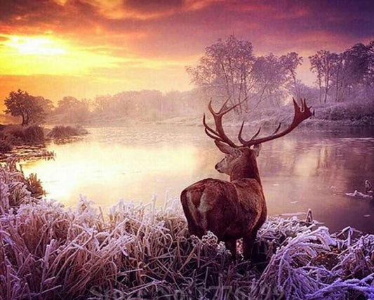 DIY Diamond Painting 5D Diamond Painting Deer by Lake 30x40 cm Painting Wall Decoration Painting Leisure Fun for Adults and Teenagers