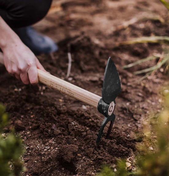 Garden hoe 450 mm "Daisy S" 2-tine double hoe forged sturdy high quality