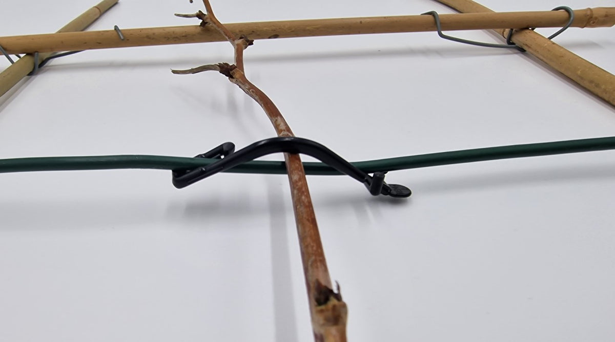 Himbeerklammer Drahtklammer weich Weinbau Beerenanbau 100 Stück Kunststoff 6,5 cm