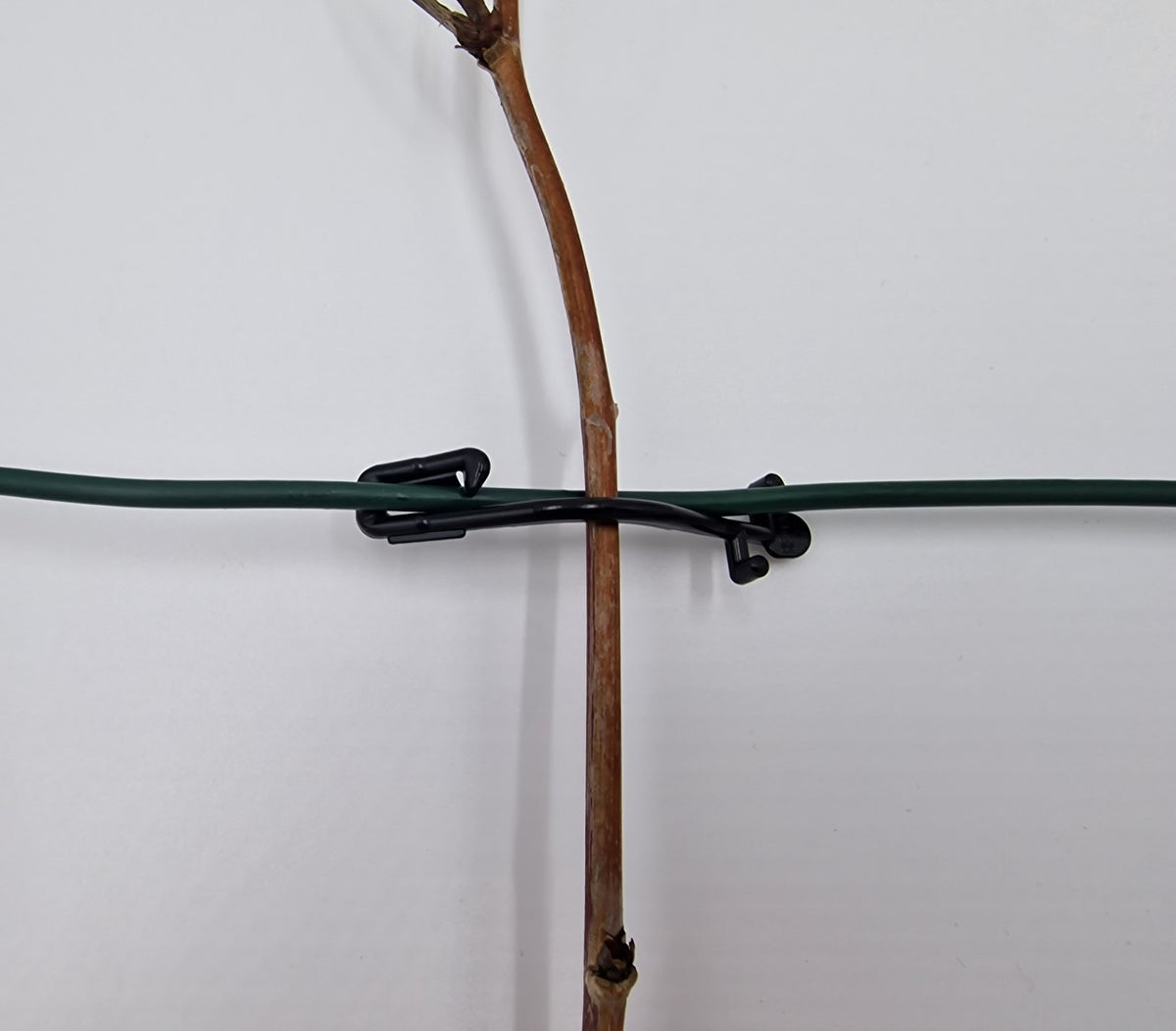 Himbeerklammer Drahtklammer weich Weinbau Beerenanbau 100 Stück Kunststoff 6,5 cm