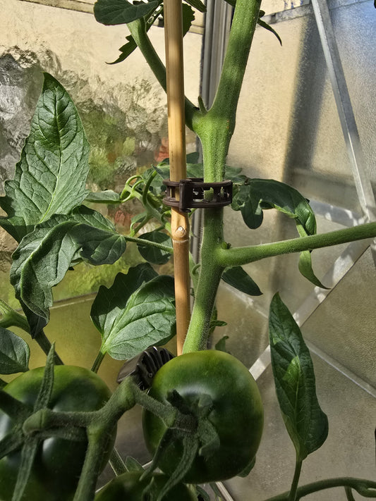 Plant clips for tomatoes, peppers, cucumbers, trellis support ⌀ 22 mm with string guide, 50 pieces