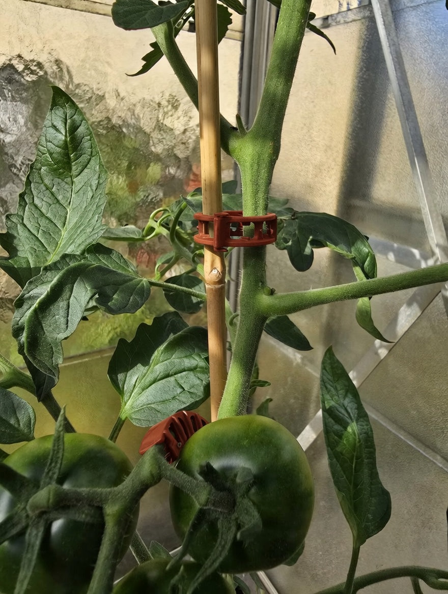 Set of 50 plant clips + 100 vine supports for tomatoes, peppers, cucumbers, climbing aid