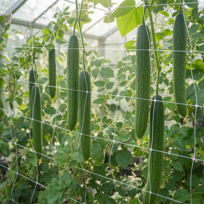 Kletterpflanzen Rankhilfe Pflanzennetz Gartennetz Stütznetz  2 x 10 m weiß