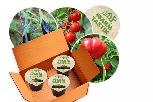 Gemüse-Pflanz-Kits "Farmtastik" je 1x Kirschtomate, Aubergine, Paprika plastikfrei