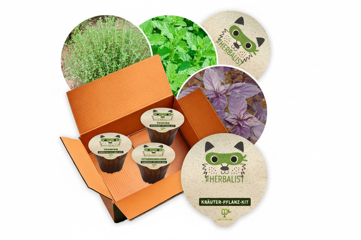 Kräuter-Pflanz-Kits "Herbalist" je 1x Basilikum Rotblättrig Zitronenmelisse Thymian plastikfrei