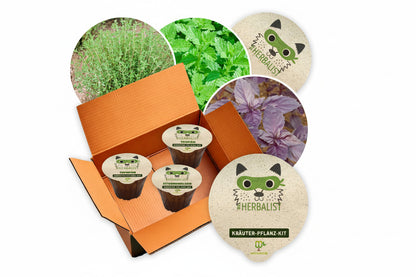 Kräuter-Pflanz-Kits "Herbalist" je 1x Basilikum Rotblättrig Zitronenmelisse Thymian plastikfrei