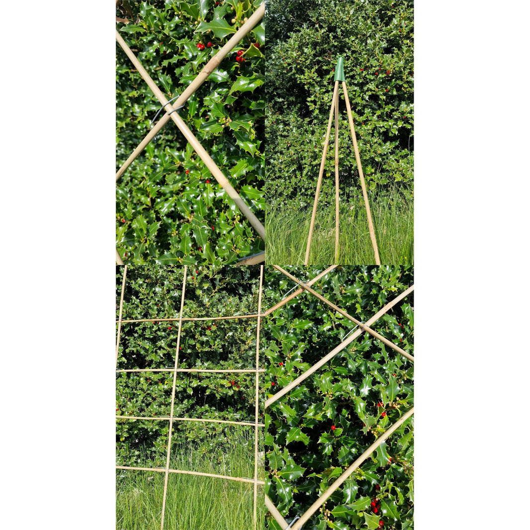 Tonkin canes approx. 120 cm Ø 12-16 mm plant stakes trellis stakes bamboo cane pole 20 pieces brown