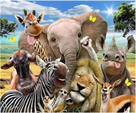 Paint by Numbers for Adults - Funny Animals, 40x50 cm, DIY Oil/Acrylic Canvas Picture Decoration, Unframed, 1 Piece
