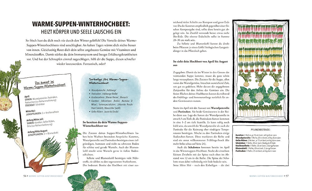 The sensational winter raised bed - Doris Kampas - Non-fiction book