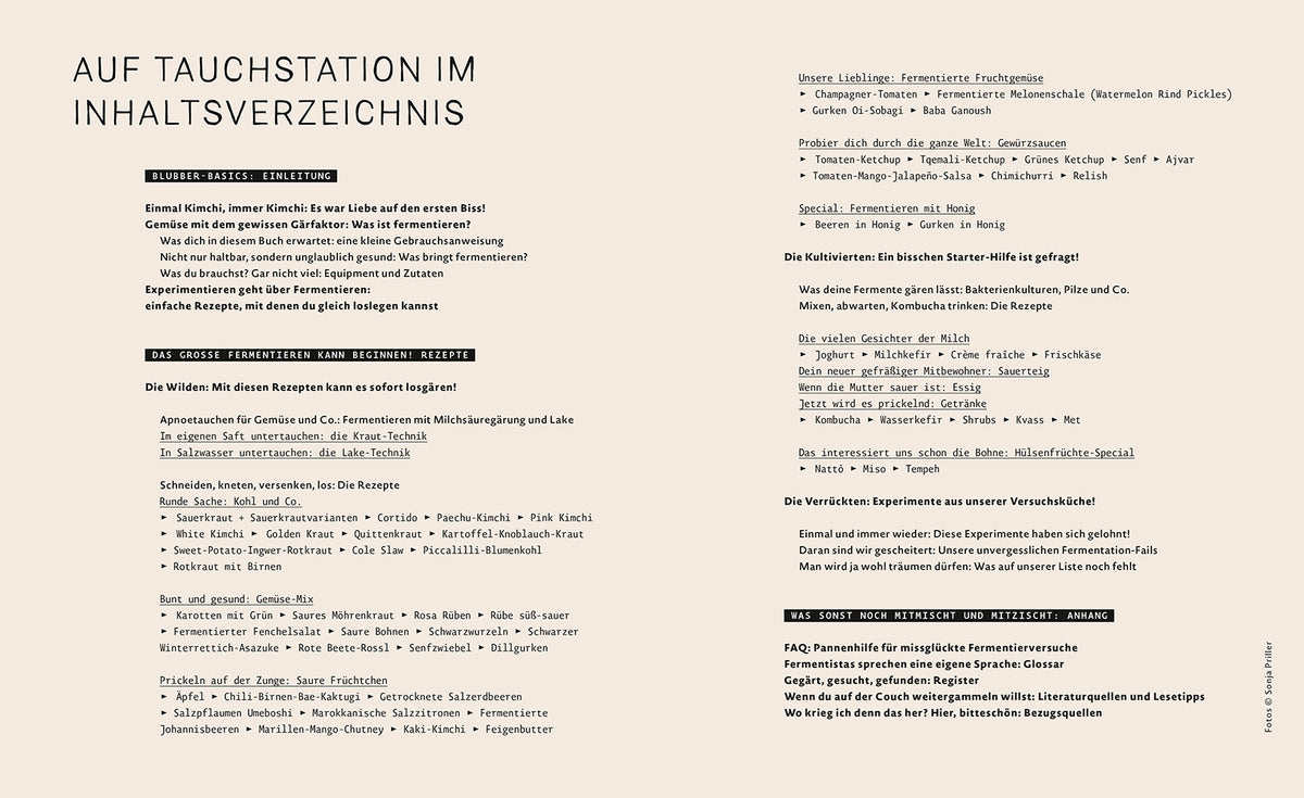 Magic Fermentation - Marcel Kruse, Geru Pulsinger - Non-fiction