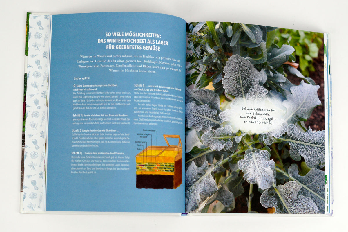 The sensational winter raised bed - Doris Kampas - Non-fiction book